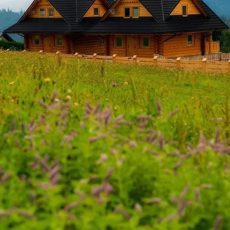 Wioska Villa